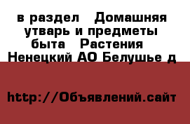  в раздел : Домашняя утварь и предметы быта » Растения . Ненецкий АО,Белушье д.